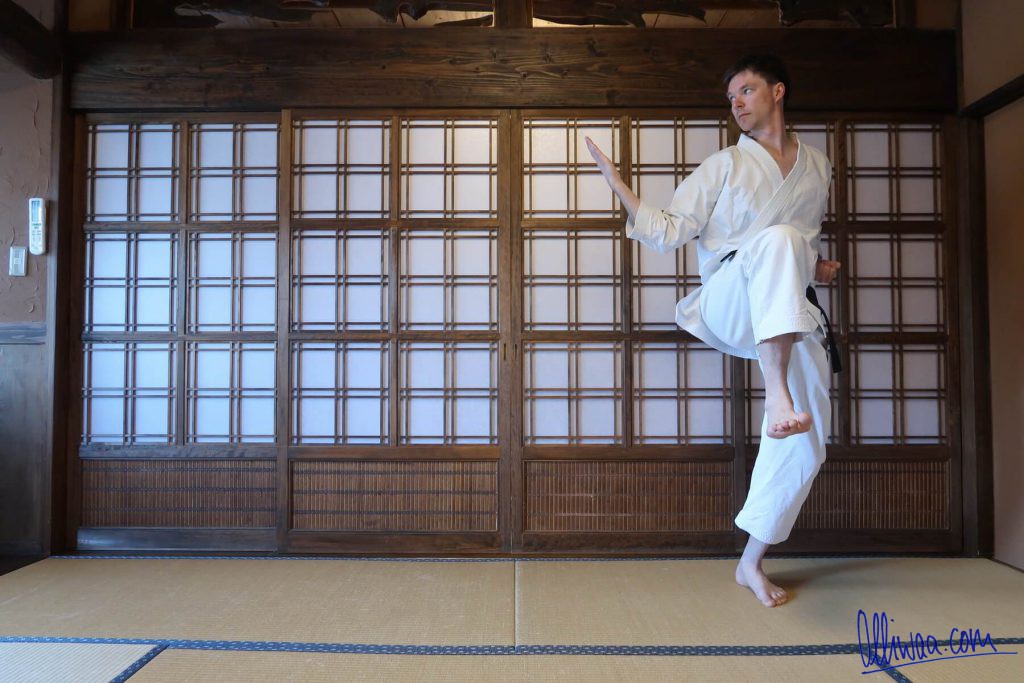 Karate in Japan